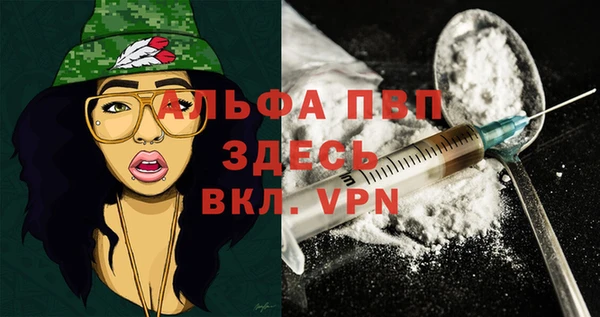 прущие крисы Верея