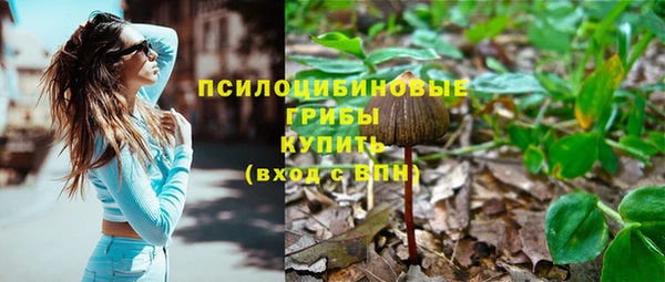 прущие крисы Верея