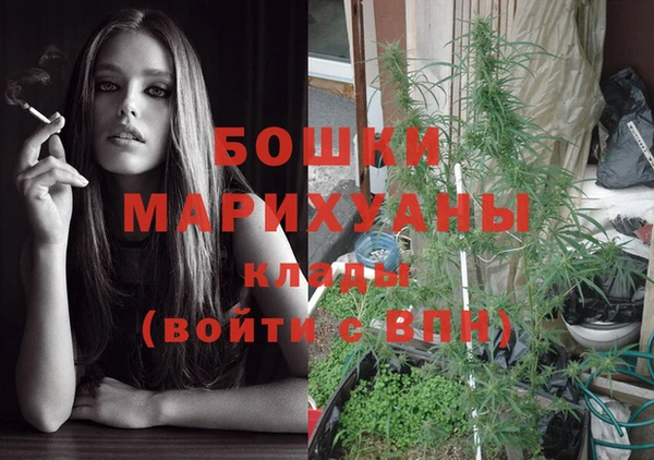 PSILOCYBIN Бугульма